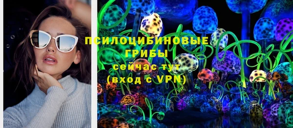 дурь Белокуриха